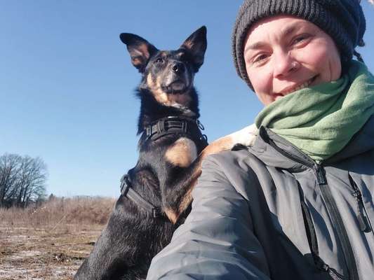 Hundetreffen-Gassirunden, neue Kontakte, gemeinsames üben-Bild
