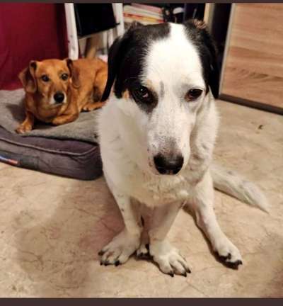 Doppelgänger gesucht !-Beitrag-Bild