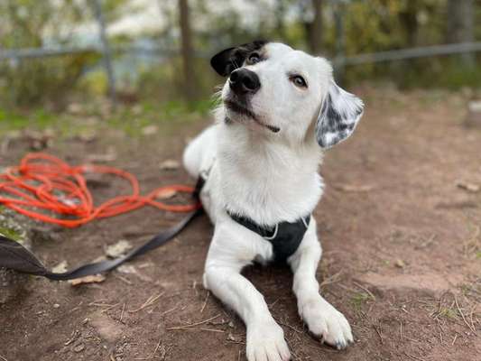 Zeigt eure Portraits-Beitrag-Bild