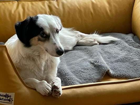 Doppelgänger gesucht !-Beitrag-Bild