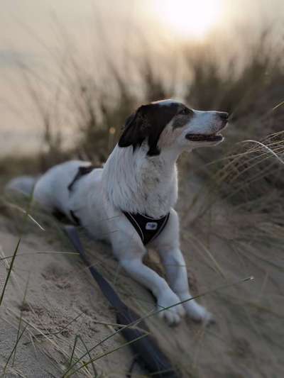 18. Farben Fotochallenge: Sonnenuntergang-Beitrag-Bild