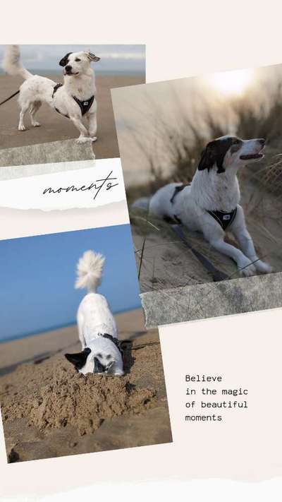 37. Collagen Challenge- Am Strand-Beitrag-Bild