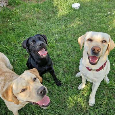 Alessandra's Profilbild