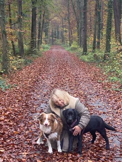 aktuelles Foto Gruppe Social Walk - Enzkreis