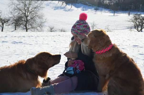 Foto's und Hundemodels-Beitrag-Bild