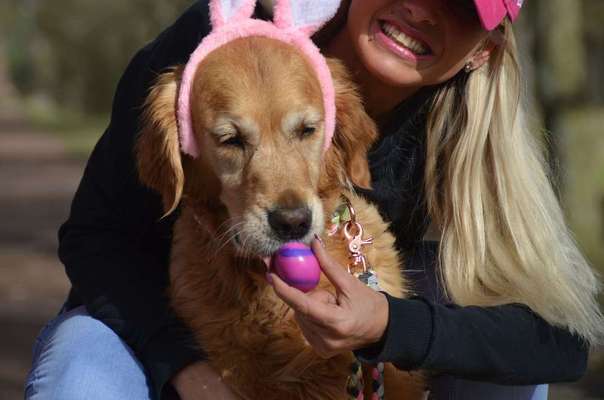 Foto's und Hundemodels-Beitrag-Bild