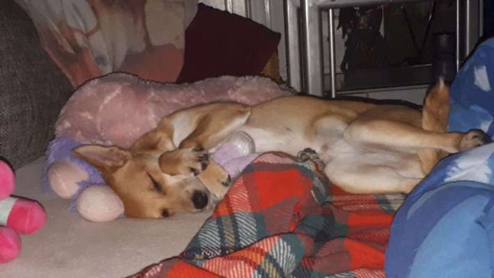 Schlafposition-Beitrag-Bild