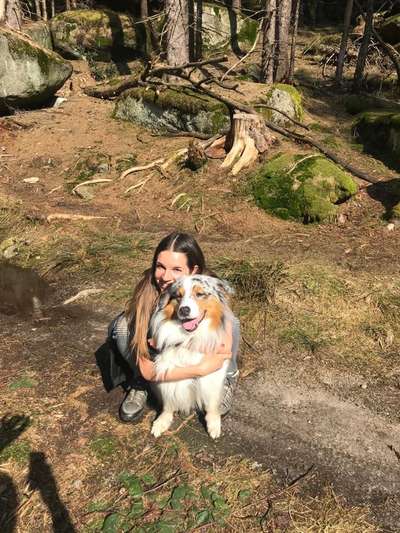 41. Handy Fotochallenge - Euer gemeinsames Hobby-Beitrag-Bild