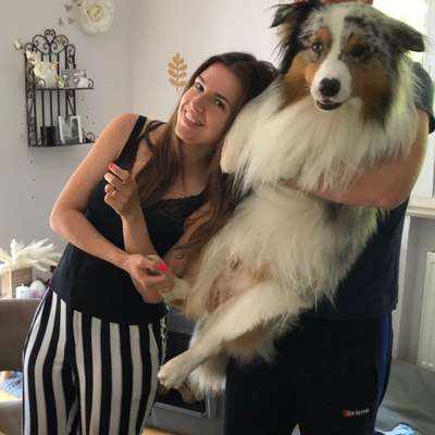 Hundetreffen-Aussietreff bei Schwabach / Katzwang