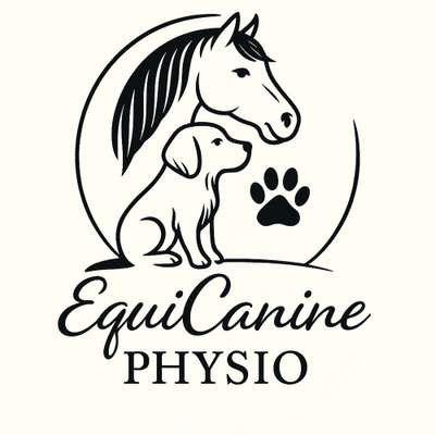 Hundetreffen-🐾 Physio Walk - gesunder Hund,entspannter Spaziergang 🐾-Bild