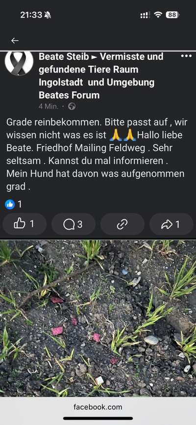 Giftköder-Unklare Substanz-Bild