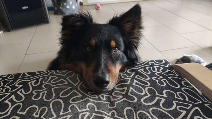 Fotochallange Nr. 57     PORTRÄT.   Beendet!!!!!!!!-Beitrag-Bild