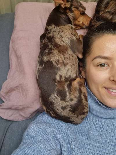 Prager Rattler-Beitrag-Bild