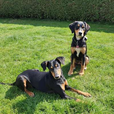 Fotochallenge No. 26                                     Wald und Wiese-Beitrag-Bild