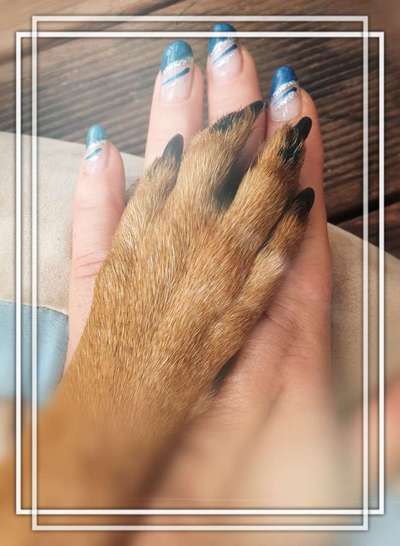 14. Handyfoto-Challenge: "BUDDY-Builder"-Beitrag-Bild