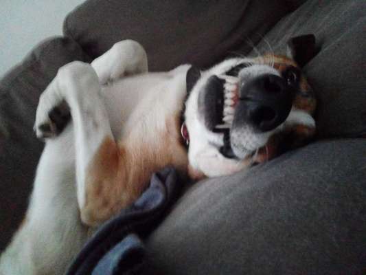 Immer lächeln !-Beitrag-Bild