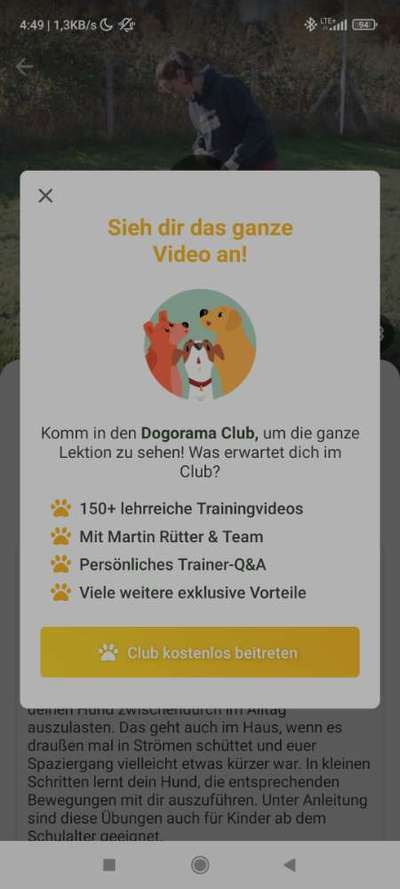 Deine Fragen zum Dogorama Club-Beitrag-Bild