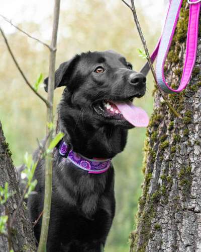 Austausch zur Fotografie-Beitrag-Bild