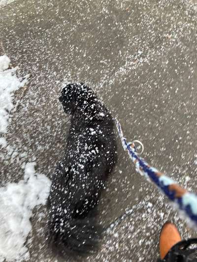 Dogorama Photo Challenge - Es wird nochmal kalt!-Beitrag-Bild