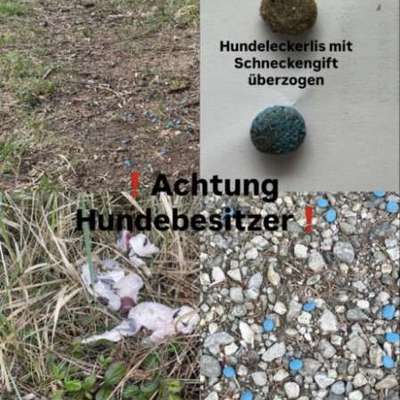 Giftköder-Giftköder-Bild