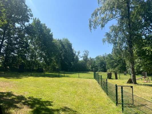 Hundetreffen-Hundeplatz Werdau-Bild