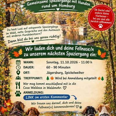 Hundetreffen-Spaziergang-Bild
