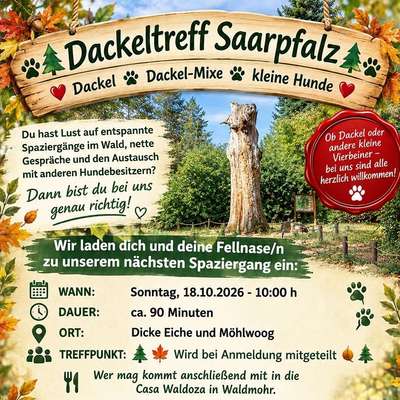 Hundetreffen-Dackeltreff Saarpfalz-Bild
