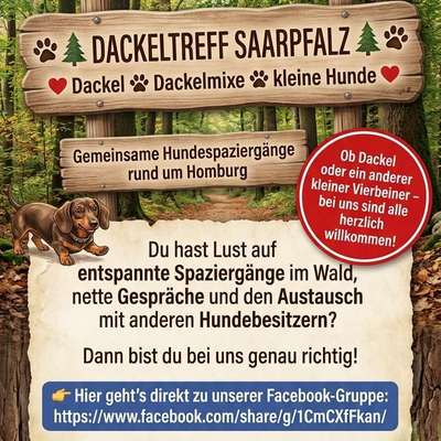 Hundetreffen-Dackeltreff Saarpfalz-Bild