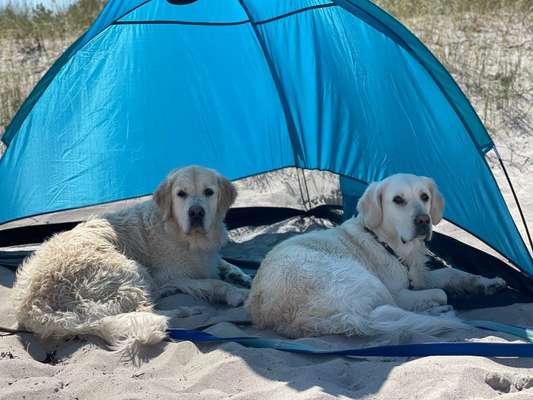 Fotochallenge 37- Sommerfeeling-Beitrag-Bild