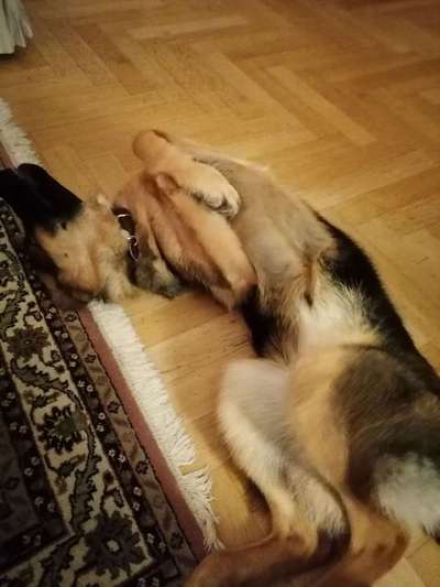 Die unbequemsten und lustigsten Schlafpositionen-Beitrag-Bild