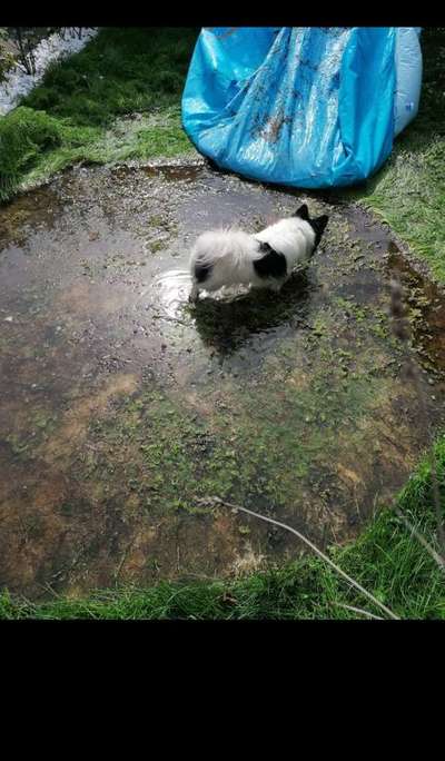 Foto Challenge - BEENDET - bitte aktuelle Challenge nutzen-Beitrag-Bild