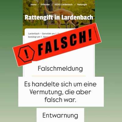 Giftköder-Rattengift-Bild