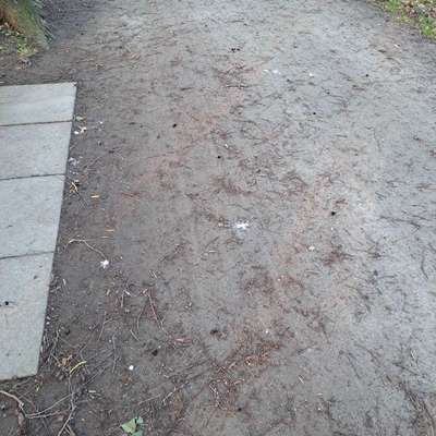 Giftköder-Vorsicht Tabletten; ganz und zertreten..-Bild