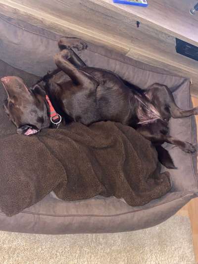 Die unbequemsten und lustigsten Schlafpositionen-Beitrag-Bild