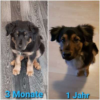 Vorher.... Nachher-Beitrag-Bild