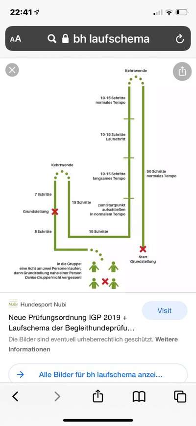 Begleithundeprüfung ohne Hundeschule-Beitrag-Bild