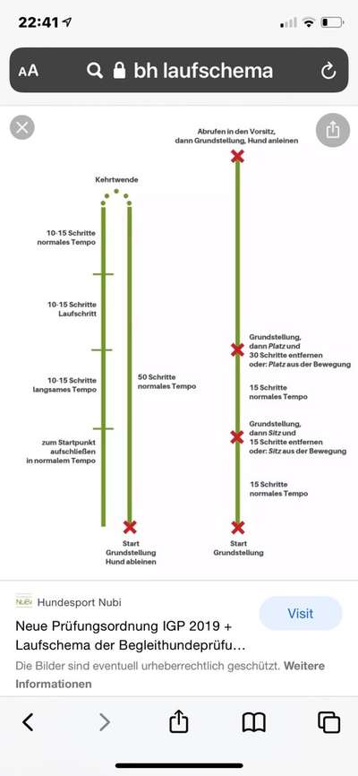 Begleithundeprüfung ohne Hundeschule-Beitrag-Bild
