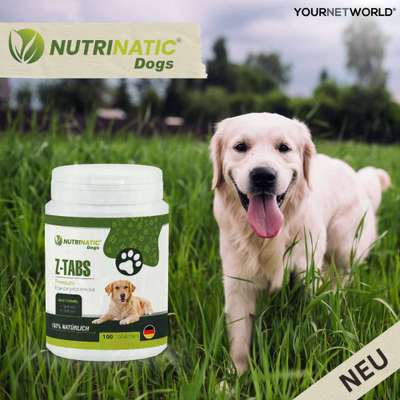 Natürlicher Zeckenschutz-Beitrag-Bild