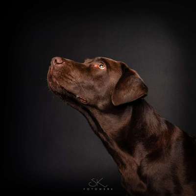 Tierfotografen-SK FOTOWERK-Bild