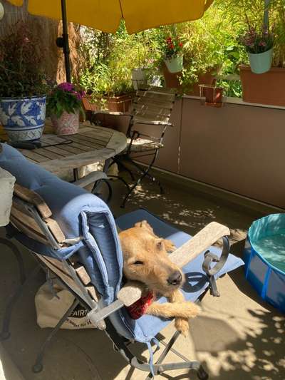 FOTO-Challenge  NR. 91: Die pure Entspannung-Beitrag-Bild