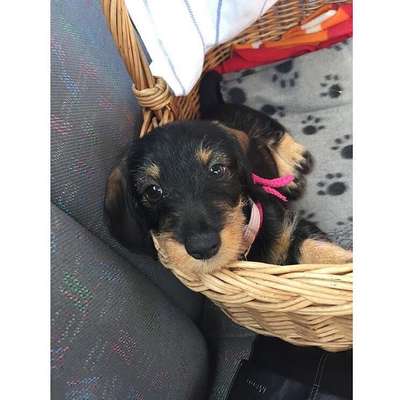 Lieblingsbild-Beitrag-Bild