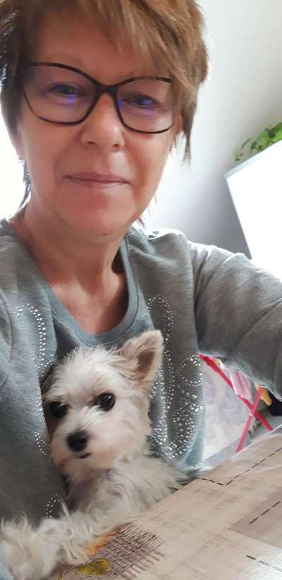 KUSCHEL PARTNER-Beitrag-Bild