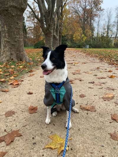 Zeigt eure Portraits-Beitrag-Bild