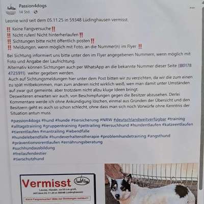 Suchmeldung-Leonie-Bild