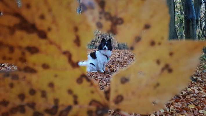 Lieblingsbild-Beitrag-Bild