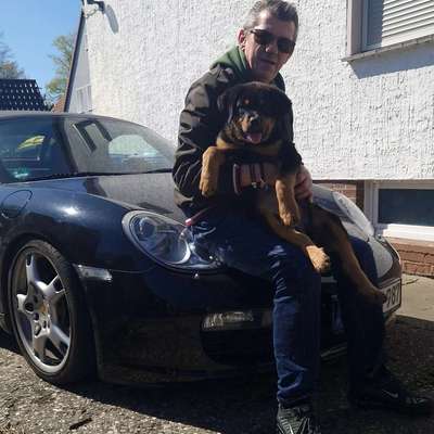 Hundetreffen-Spielgefährten gesucht...-Profilbild