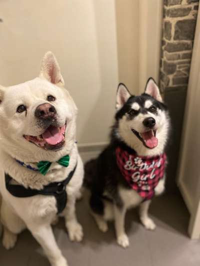 Dogorama Photo Challenge - Gegensätze-Beitrag-Bild