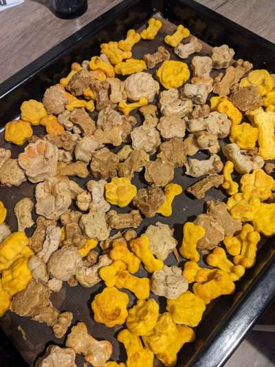 Heute gibt es.....der "ich mach die Leckerlis-Selber-Thread"-Beitrag-Bild