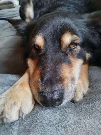 Lieblingsbild :D-Beitrag-Bild