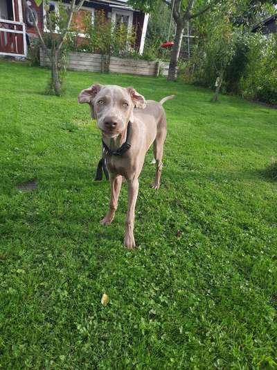 Fotochallange Nr. 6 Die irrsten Blicke-Beitrag-Bild